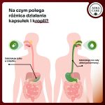 cholesterolObszar roboczy 3-100