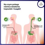 CZARCI PAZURObszar roboczy 3-100